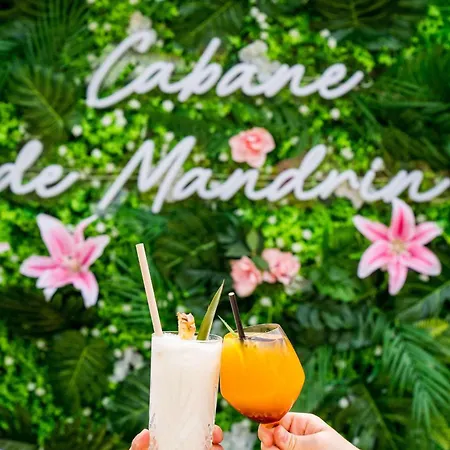 Western Premier Clos Syrah & 4* Valence